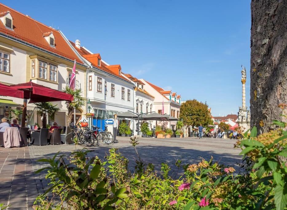 St. Antoni Suite 3 Eisenstadt Eksteriør bilde